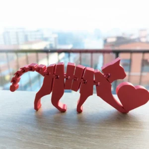 Mačka i srce poklon za Dan zaljubljenih