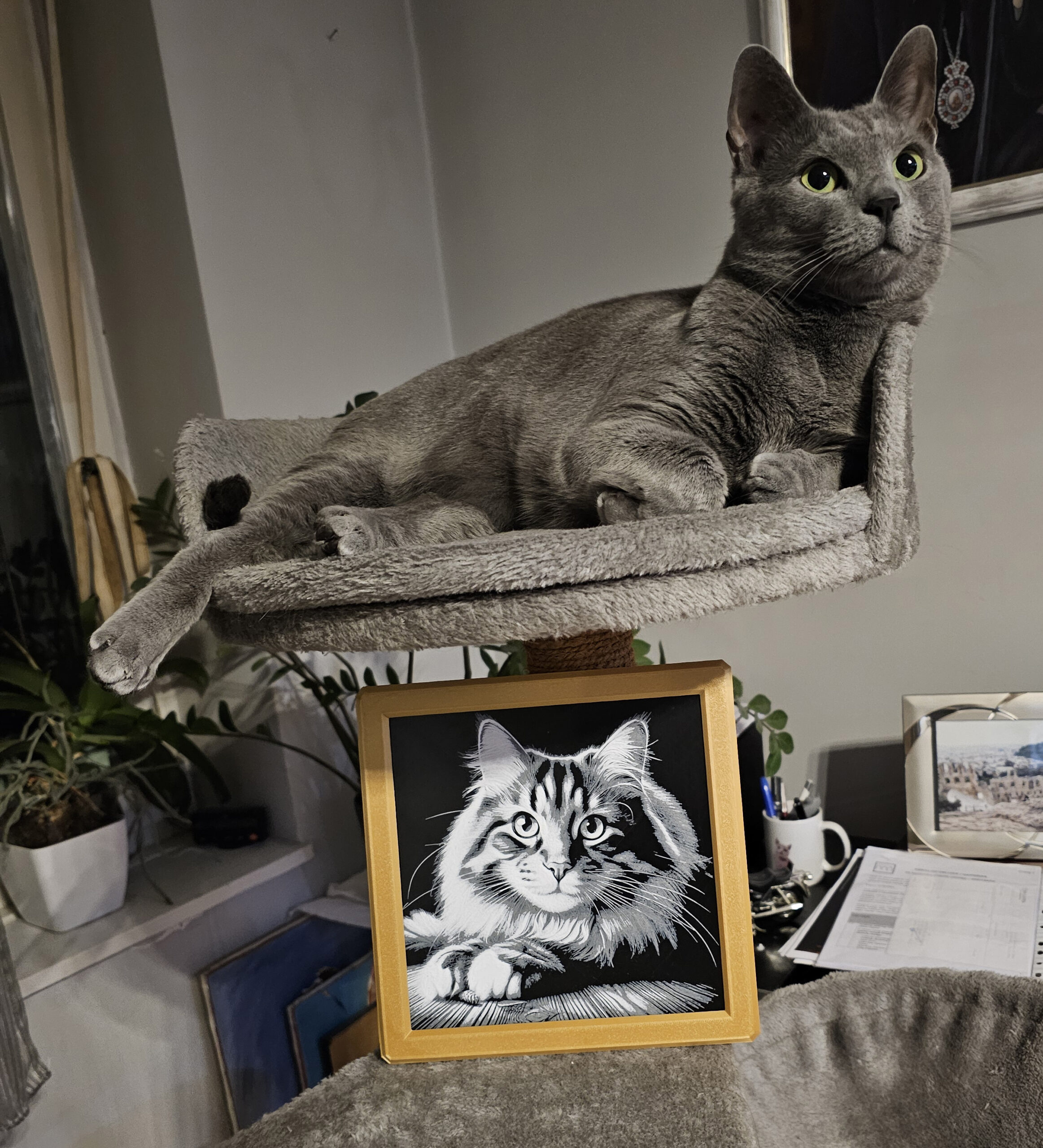 3D slika Mačka - Slika 3