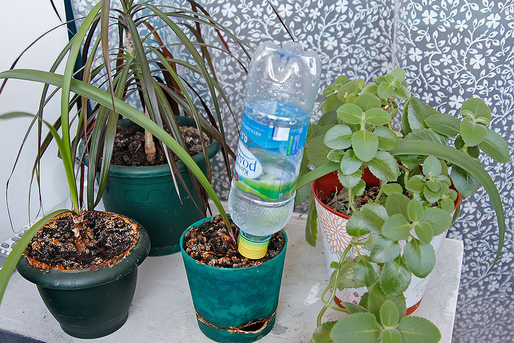 Čep za flašu za automatsko navodnjavanje biljaka - Slika 3