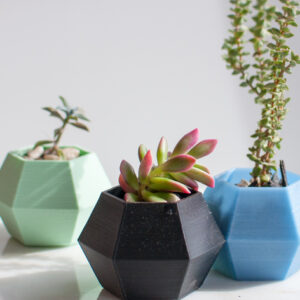 Dekorativna mini saksija