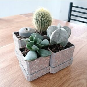 Četiri male saksije