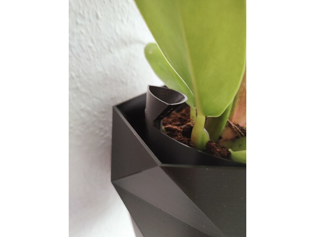 Dekorativna zidna saksija - Slika 4