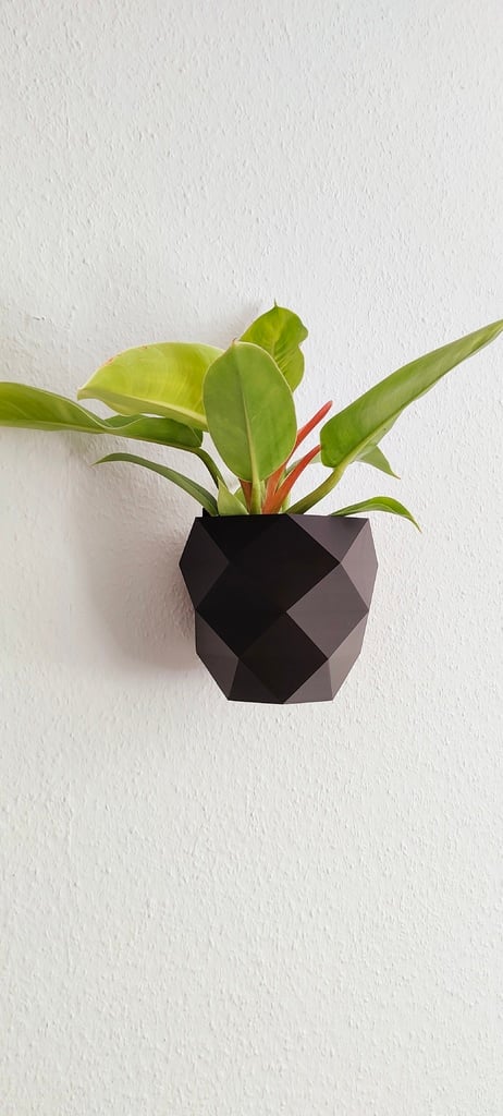 Dekorativna zidna saksija