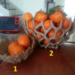 Koralna činija od plastike