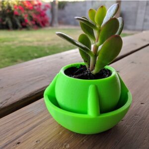 Mala dekorativna saksija