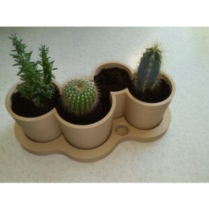 Elegantne 4 saksije za kaktuse