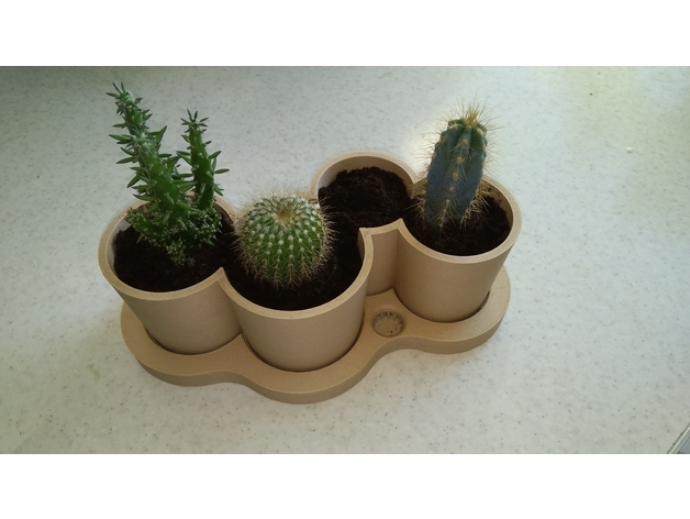 Elegantne 4 saksije za kaktuse