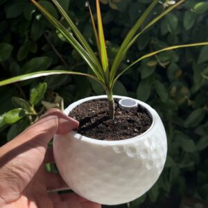 Mala plastična vaza ili saksija