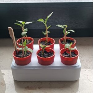 Postolje za navodnjavanje za 6 biljaka