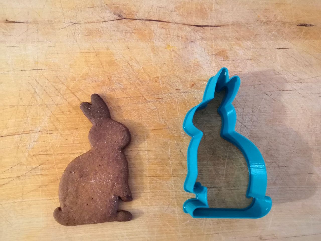 Modlica uskršnji zec - Slika 2