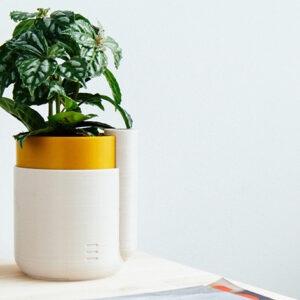 Samozalivajuća saksija