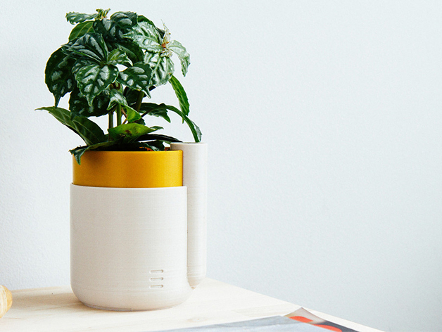 Samozalivajuća saksija