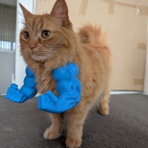 Alternative view of Hulk ruke za mačke