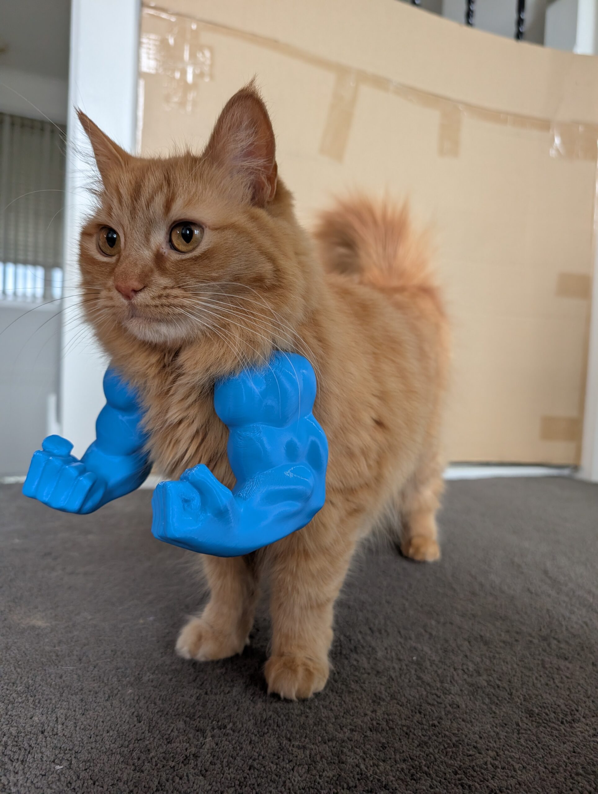 Hulk ruke za mačke - Slika 2