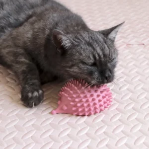 Češalica za mace u obliku ježa