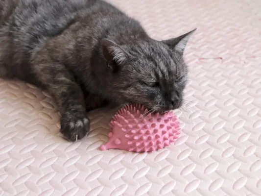 Češalica za mace u obliku ježa