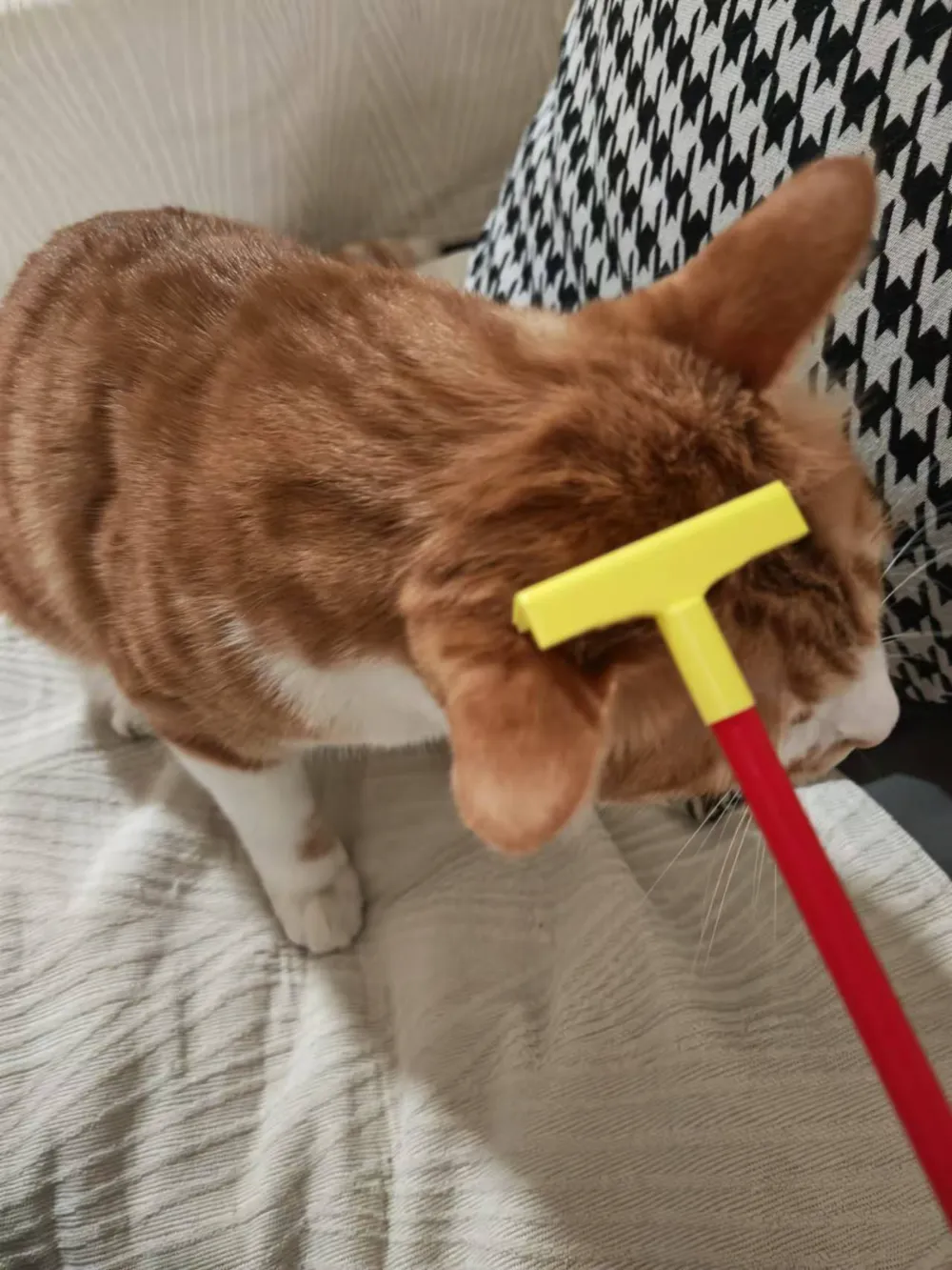 Češalica za kućne ljubimce